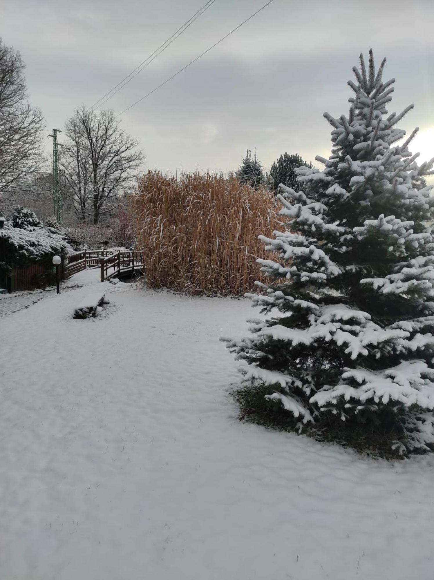 Kosky